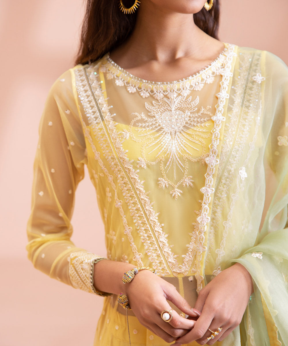 3 Piece - Dyed Embroidered Blended Net Suit