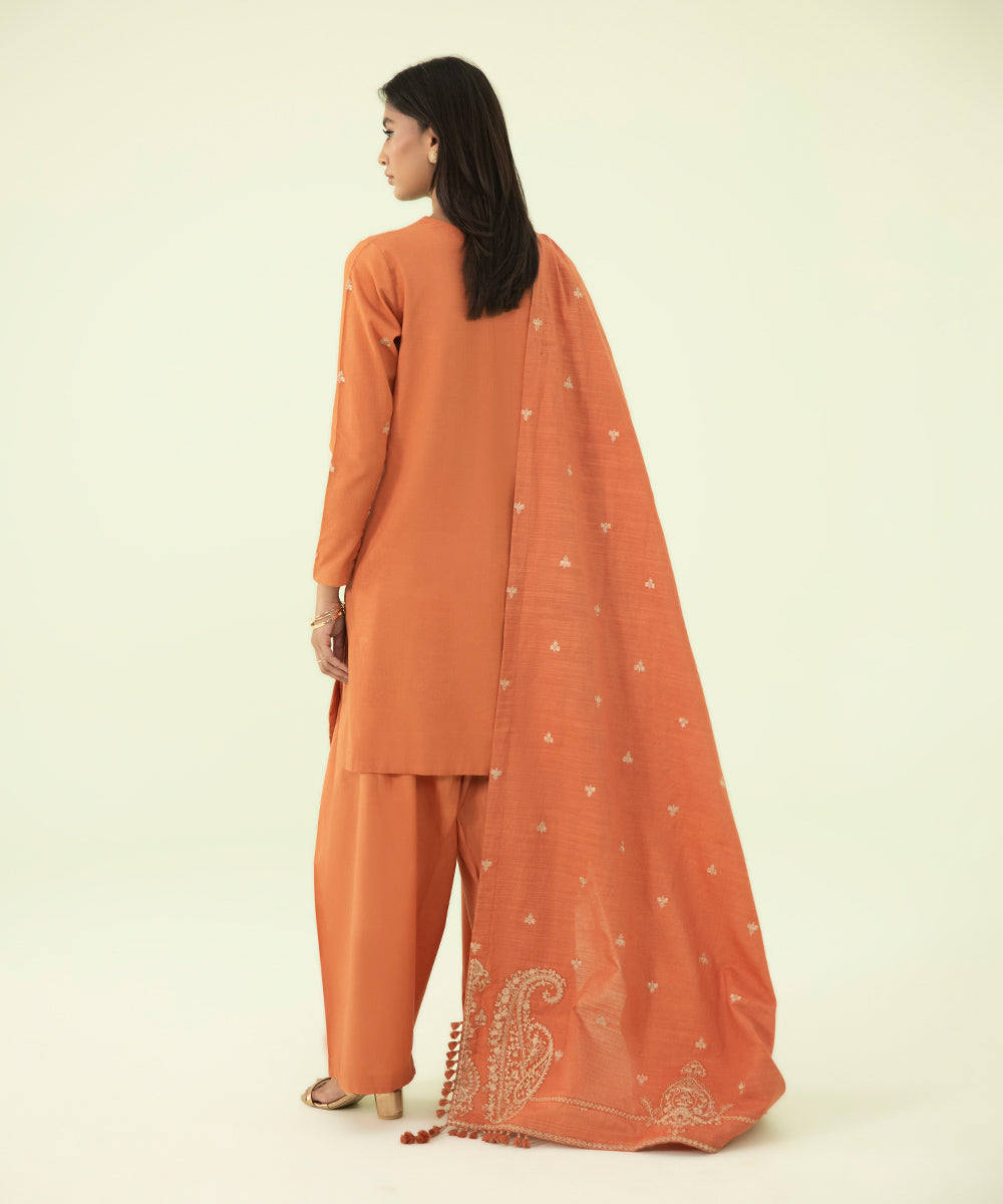 3 Piece - Embroidered Karandi Suit