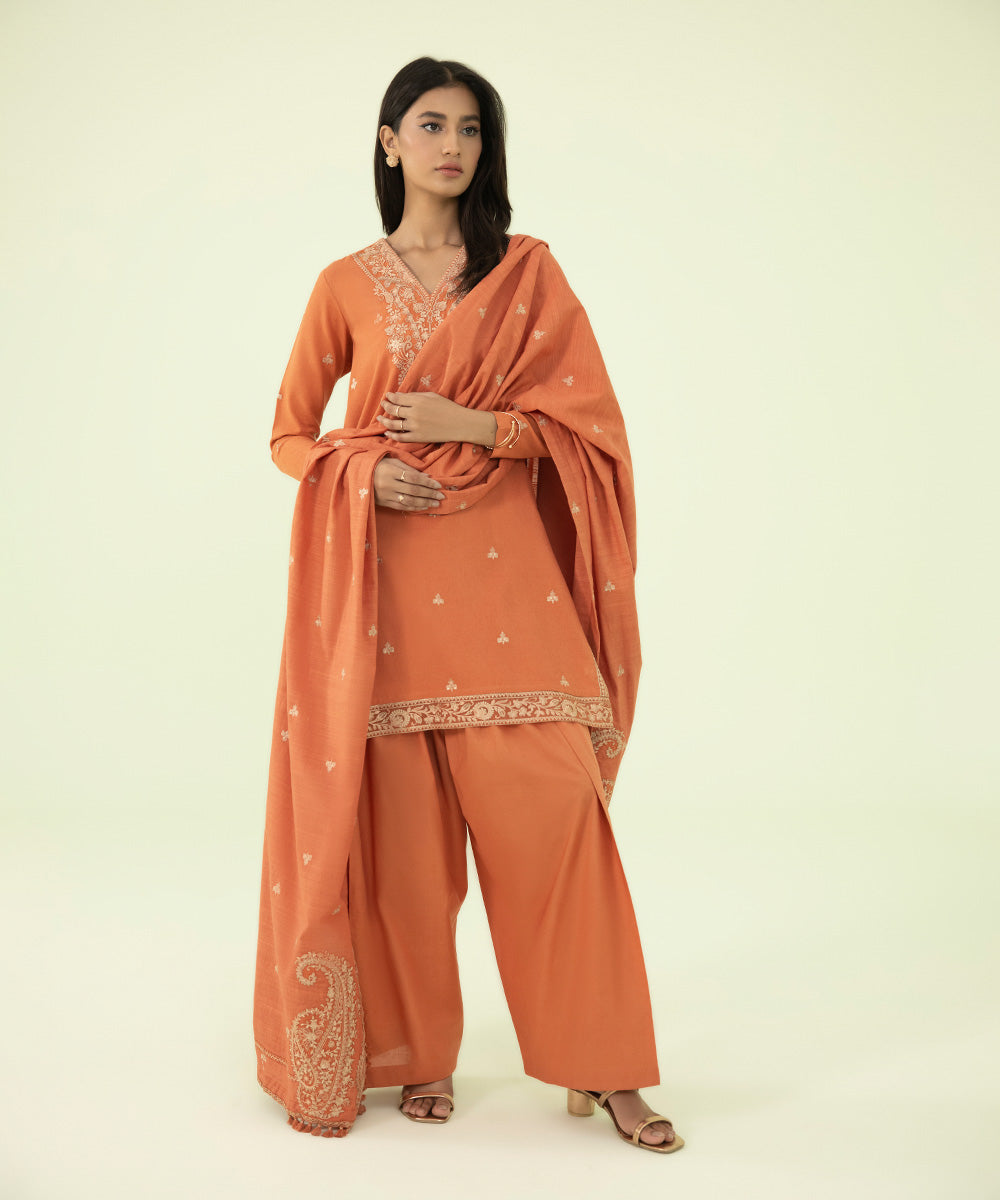 3 Piece - Embroidered Karandi Suit