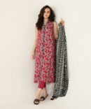 2 Piece - Printed Lawn Suit