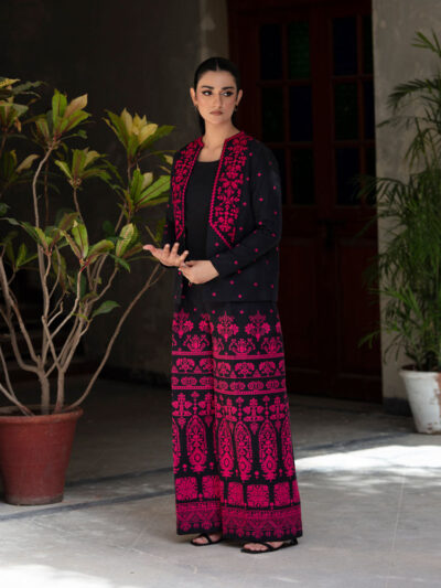 2 Piece - Embroidered Khaddar Suit