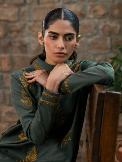 2 Piece - Embroidered Khaddar Suit