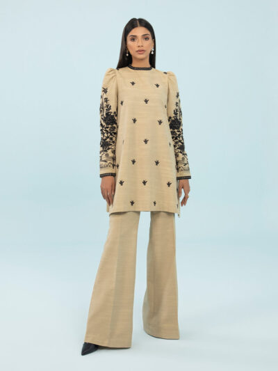 2 Piece - Embroidered Khaddar Suit