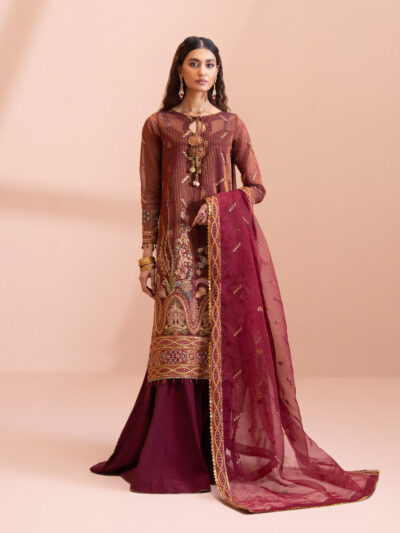 3 Piece - Dyed Embroidered Zari Line Organza Suit