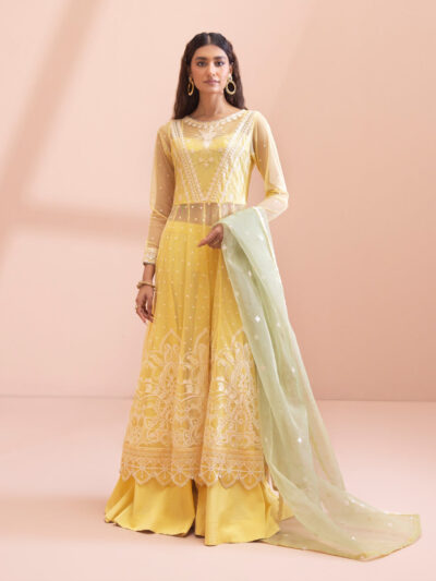 3 Piece - Dyed Embroidered Blended Net Suit