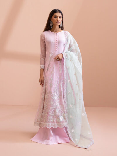 3 Piece - Dyed Embroidered Blended Net Suit