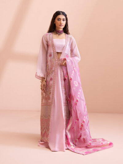 3 Piece - Dyed Embroidered Blended Chiffon Suit