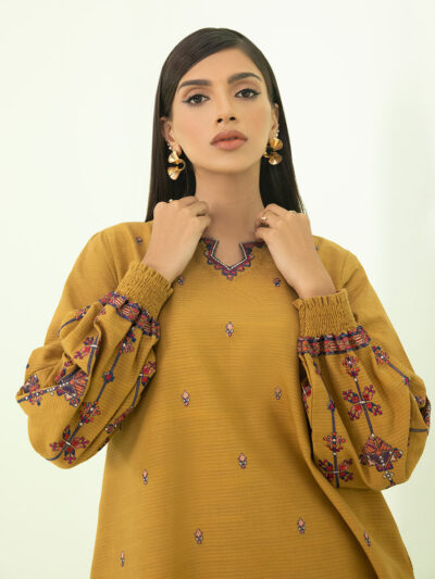 2 PIECE - EMBROIDERED ZARI KHADDAR SUIT