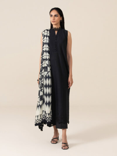 3 Piece - Embroidered Textured Lawn Suit