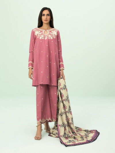 3 Piece - Embroidered Khaddar Suit