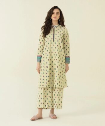 2 Piece - Printed Lawn Suit